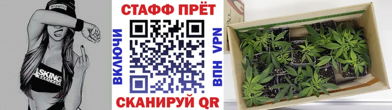 Наркошоп Красногорск COCAIN  Alpha-PVP  ГАШИШ 