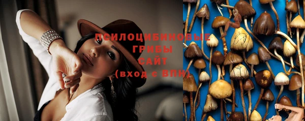 кокаин колумбия Алексин