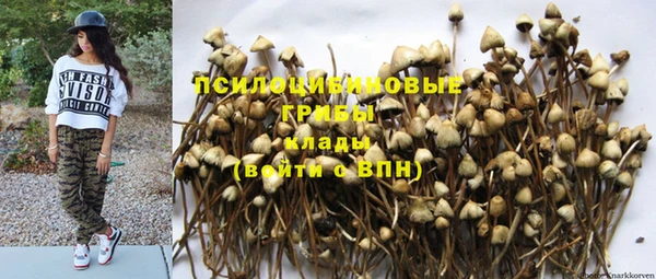 а пвп мука Алзамай