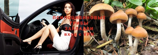 а пвп мука Алзамай